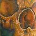 tattoo galleries/ - Skull and rose tattoo